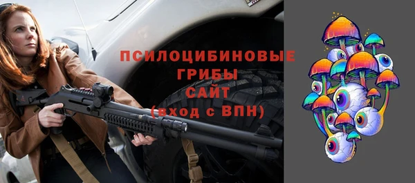 мдпв Корсаков
