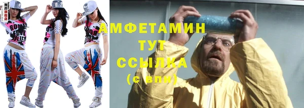индика Коряжма