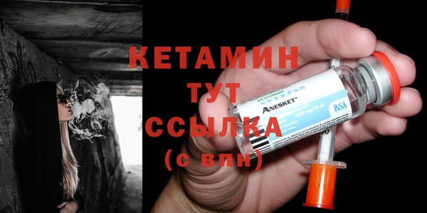 индика Коряжма