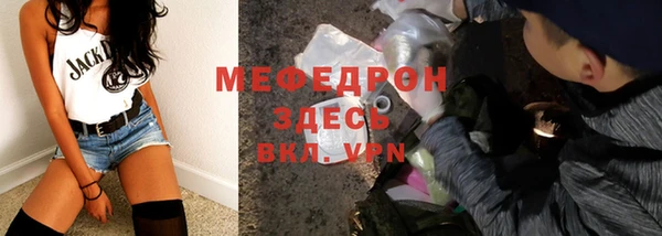 индика Коряжма