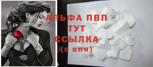 индика Коряжма