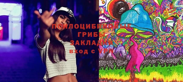 крисы Костерёво