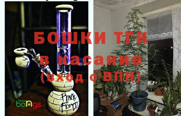 крисы Костерёво