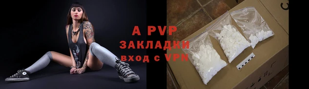 индика Коряжма