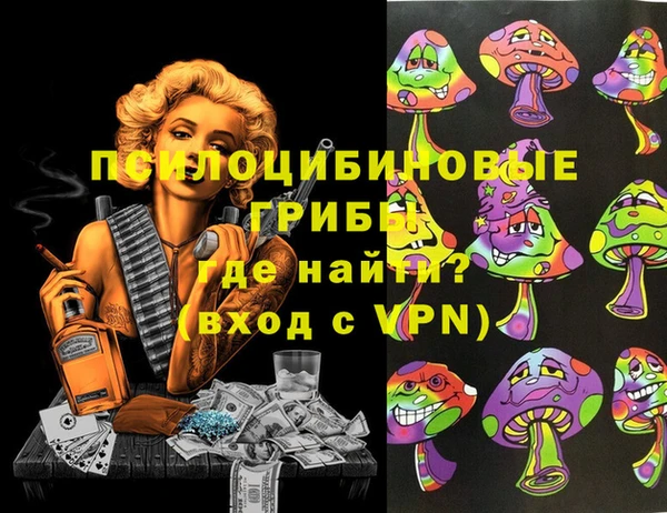индика Коряжма