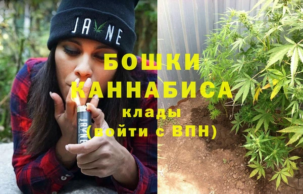 индика Коряжма