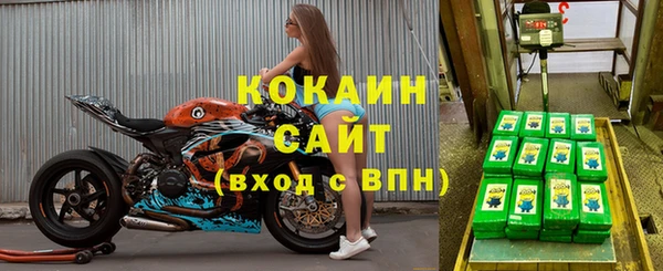 индика Коряжма