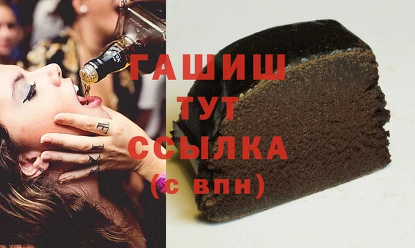индика Коряжма