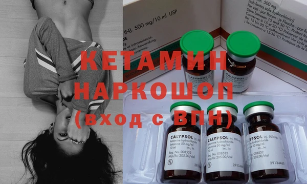 индика Коряжма