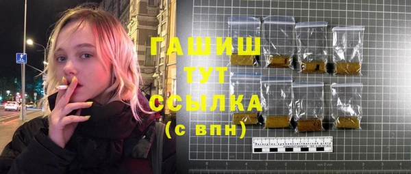 индика Коряжма