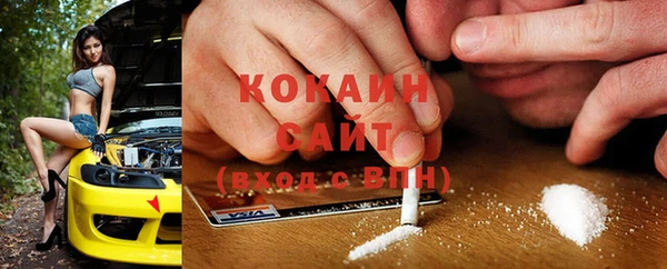 хмурый Козловка