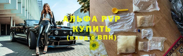 крисы Костерёво