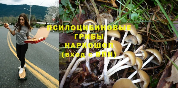 мдпв Корсаков
