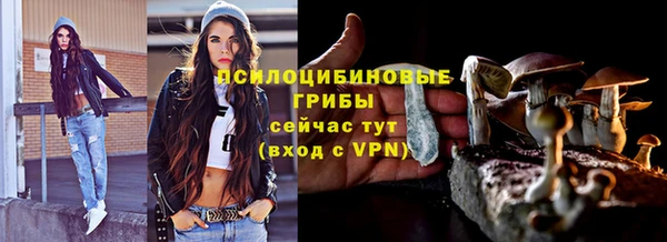 дурь Гусь-Хрустальный
