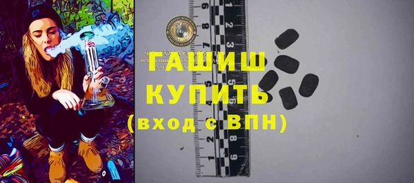 индика Коряжма