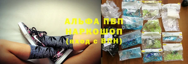 мдпв Корсаков
