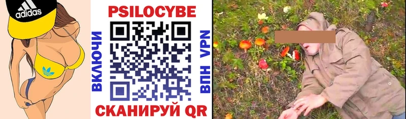 Галлюциногенные грибы мицелий  Стародуб 
