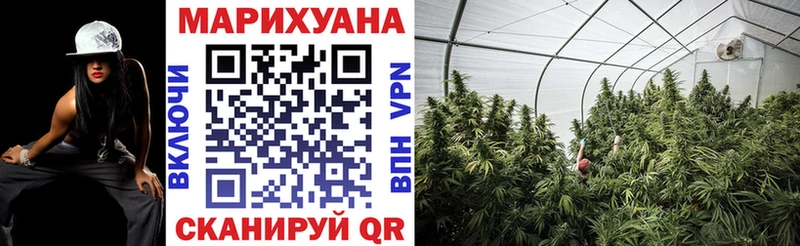 Шишки марихуана марихуана  Стародуб 